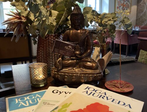 We are Happy to Announce Our Friendship with Magazine ” Yoga And Ayurveda”